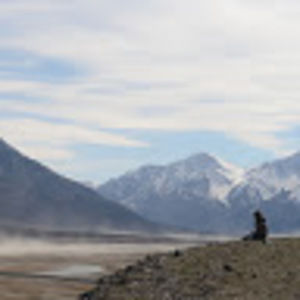 Meet your Posher, Liz